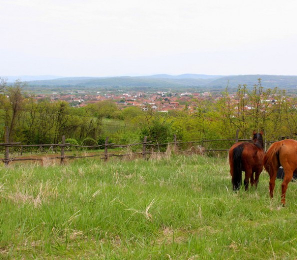 Horse sancturay "Staro Brdo" (Old Hill) and ReWild Center