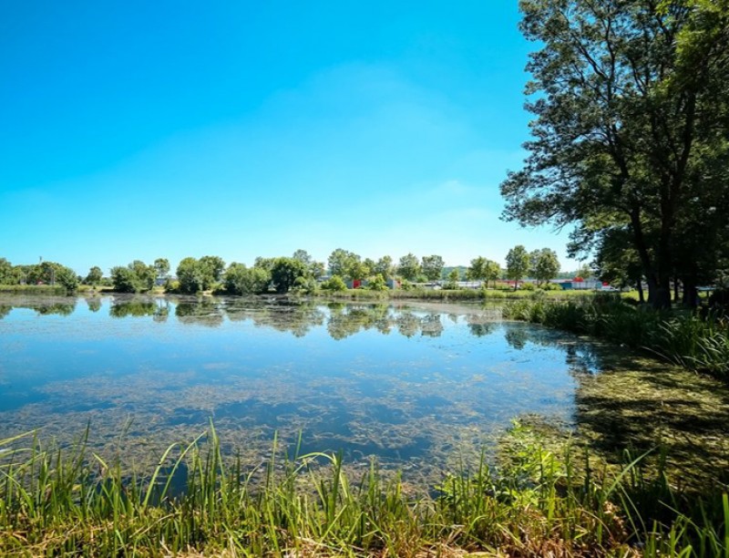 Bubanj lake